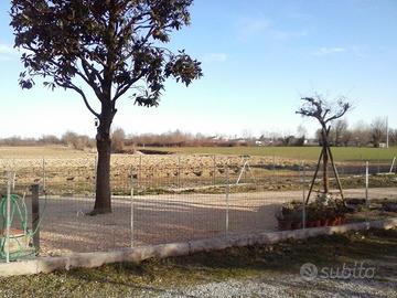 Terreno a Roncade (TV) - Musestre