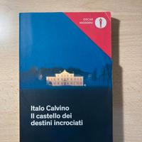 Libro il castello dei destini incrociati