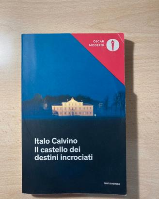 Libro il castello dei destini incrociati