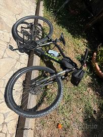 Bicicletta specialized