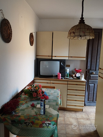 Appartamento a rocchetta Tanaro (at)