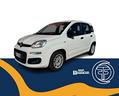 fiat-panda-1-3-mjt-75-cv-autocarro