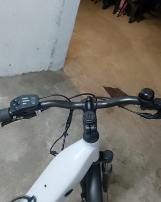  bicicletta elettrica 