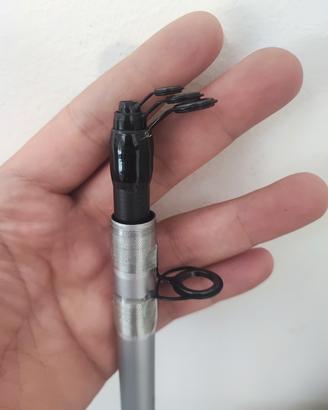 Canna bolentino tubertini seaway