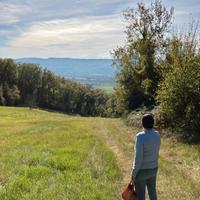 Terreno posizione panoramica penna in teverina