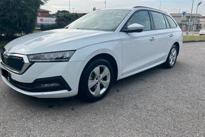 Skoda octavia 2.0 116 cv scr evo executive dsg
