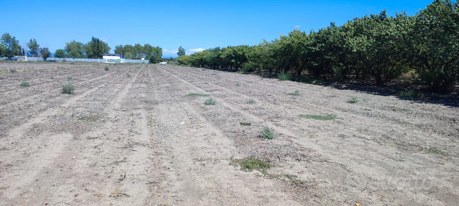 Terreno agricolo - Vista 2