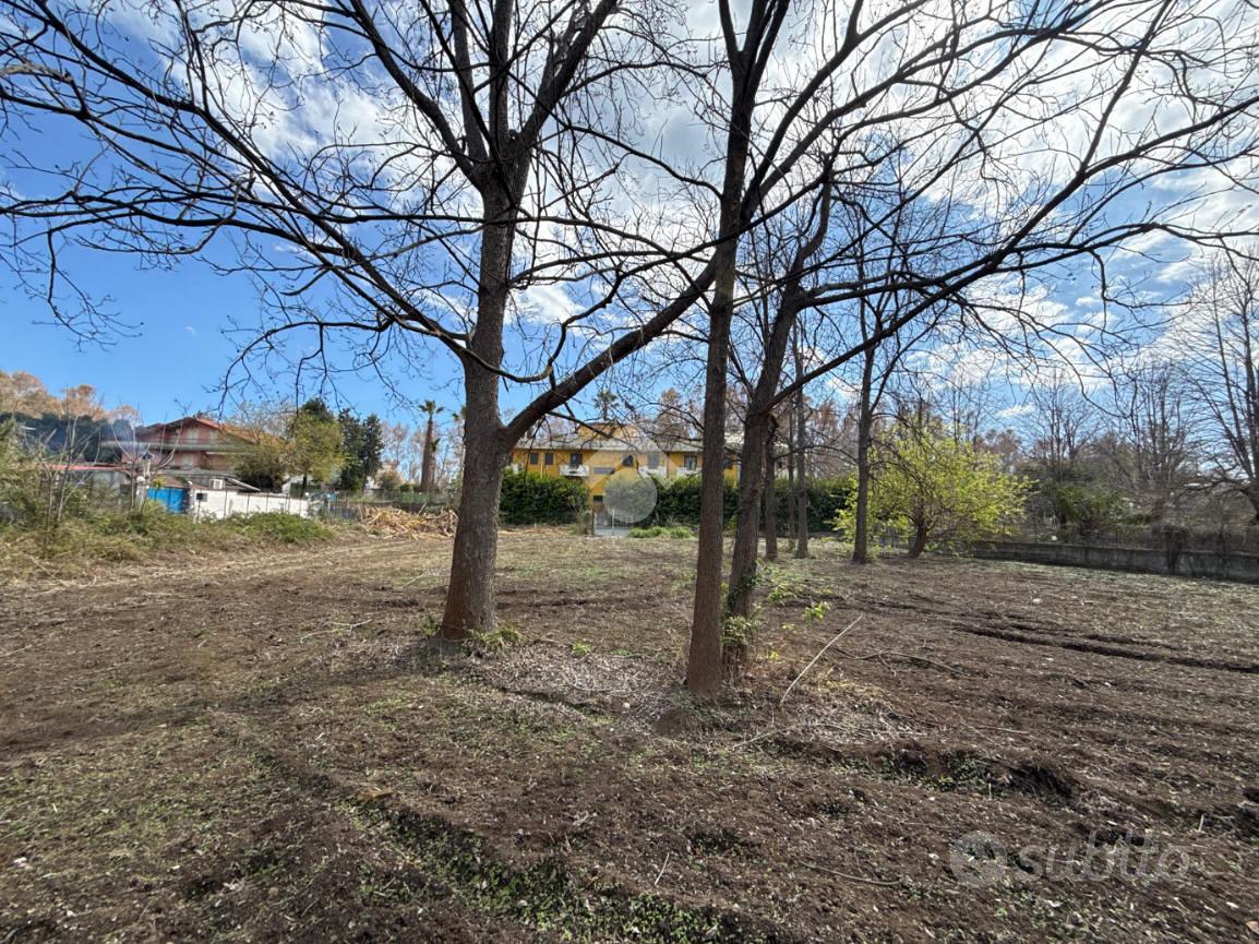 TER. RESIDENZIALE A MASCALI - Vista 5