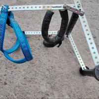 carrellino per cani disabili taglia 