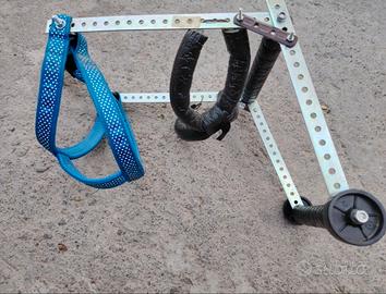 carrellino per cani disabili taglia 