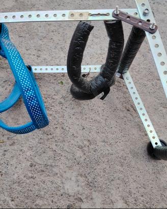 carrellino per cani disabili taglia 