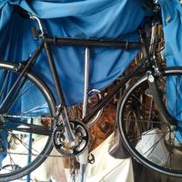 Bicicletta in carbonio 