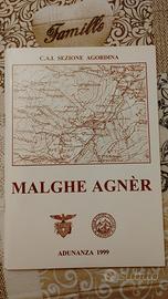 Malghe Agnèr
