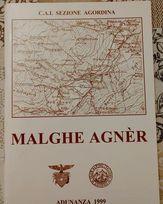 Malghe Agnèr