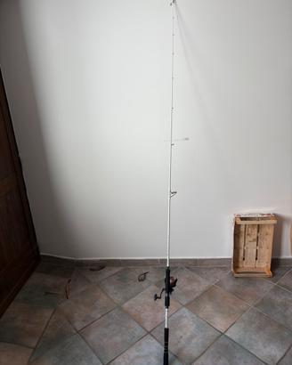Canna da pesca spinning
