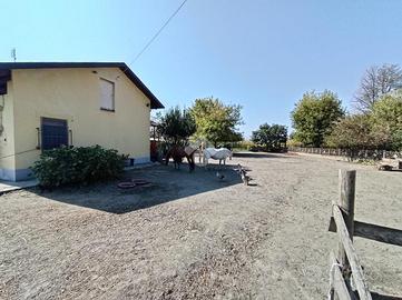 CASA INDIPENDENTE A VIGONE