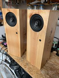 Casse dual mono, bluetooth con batteria 50w