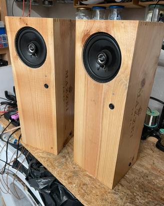 Casse dual mono, bluetooth con batteria 50w