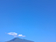Immagine 8