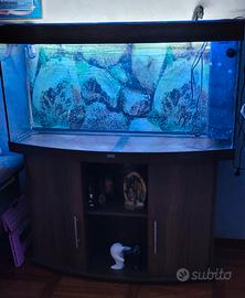 acquario 270 litri