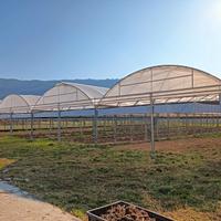 serra agricola