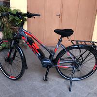 ATALA CKEVER AM80