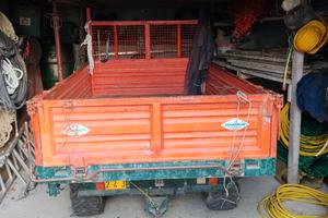 Transcar 50 Goldoni