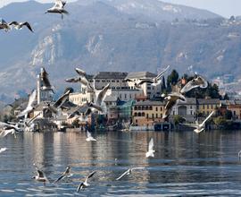 CAPODANNO a Orta San Giulio sul magico Lago d'Orta