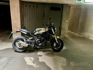 Benelli leoncino 800