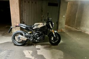 Benelli leoncino 800