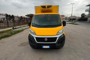Fiat ducato anno 2019