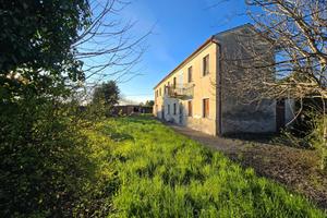 Fossò:Casa singola da ristrutturare,area 3000 mq