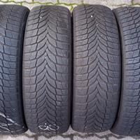 Gomme invernali Nexen 225 60 18