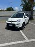 fiat-panda-1-0-city-life-firefly-s-s-hybrid