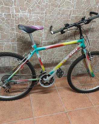 Mountain bike