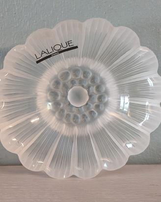 Ciotola portagioie Lalique Paquerette scatola orig