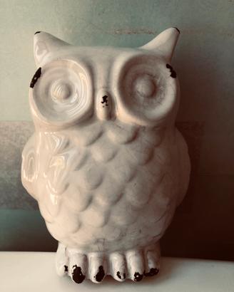 Statua gufo in ceramica