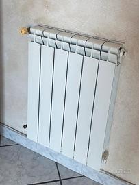 Termosifone Radiatore