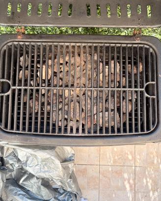 Barbecue campingaz texas revolution bbq gas