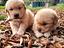 Immagine 23