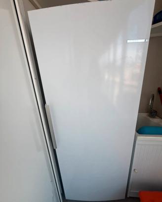 Congelatore verticale