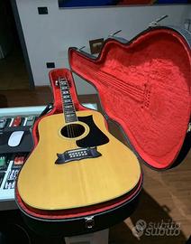Chitarra acustica, Ibanez