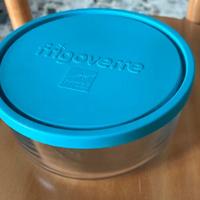 Contenitore prr cibo (Frigoverre)