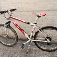 Mountain bike Olivieri