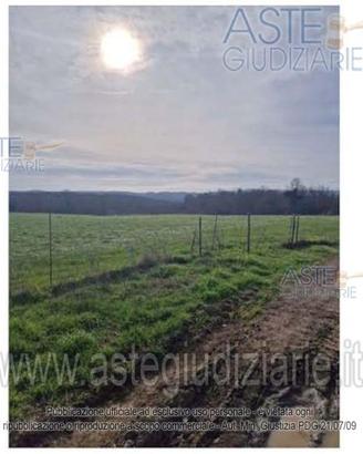 Terreno Agricolo Nepi [A4343316]