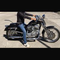Harley Davidson 883 castomizzata