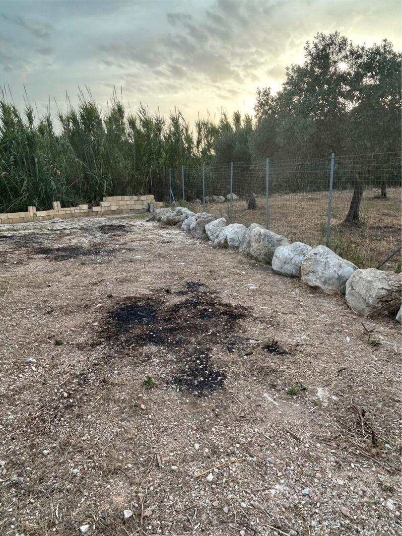 Terreno agricolo - zona crocci - Altro
