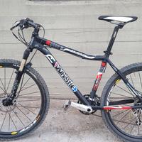 Bici mtb whistle  tutta xt