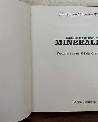 Enciclopedia illustrata dei minerali EDA 1979