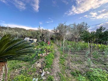 Casa Indipendente Barcellona Pozzo di Gotto